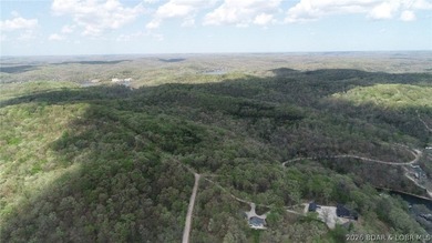 Experience the natural beauty of the Ozarks on this breathtaking - photo 4