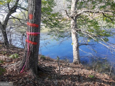 Lake Lot For Sale in Westminster, South Carolina