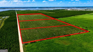 Welcome to 10.5+/- high & dry acres along Allanton Rd, Panama - photo 1