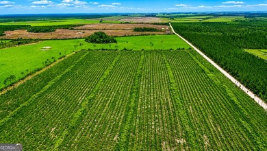 Welcome to 10.5+/- high & dry acres along Allanton Rd, Panama - photo 6