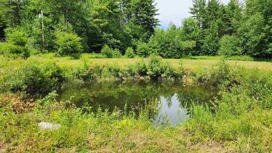 Privacy and seclusion await! This 2-bedroom, 1.5-bath home is - photo 27