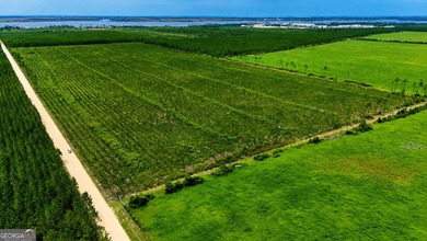 Welcome to 10.5+/- high & dry acres along Allanton Rd, Panama - photo 9