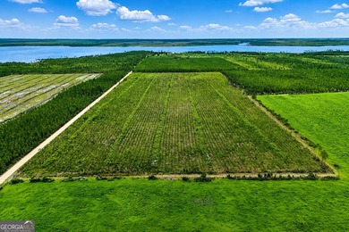Welcome to 10.5+/- high & dry acres along Allanton Rd, Panama - photo 10