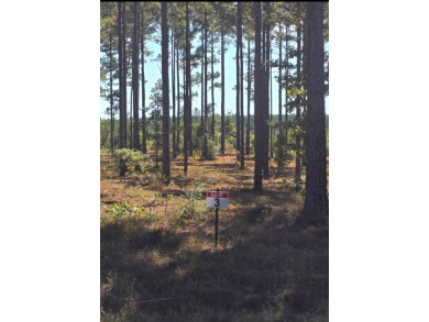Toledo Bend Reservoir Lot For Sale in Florien Louisiana