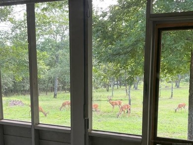 Rare 10-Acre Private Lake Access Property w/Shops & Enclosed - photo 33