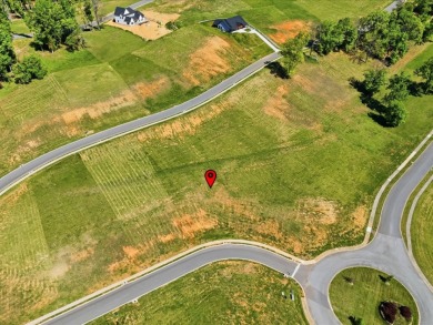 0.73-acre Cleared Building Lot in Windswept Subdivision - photo 7