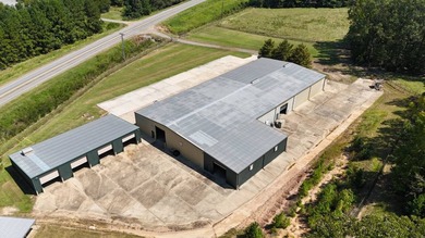 Commercial building on 4+/- acres on Hwy 191 near Negreet, LA - photo 6