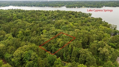 Lake Cypress Springs Lot For Sale in Scroggins Texas