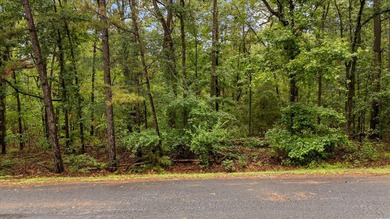 Tucked beneath a canopy of mature trees, this beautiful .33-acre - photo 2