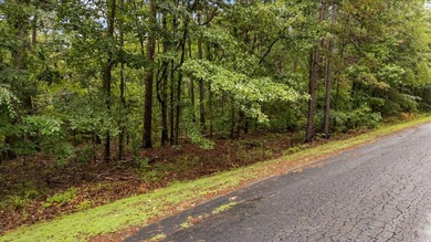 Tucked beneath a canopy of mature trees, this beautiful .33-acre - photo 4