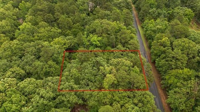 Tucked beneath a canopy of mature trees, this beautiful .33-acre - photo 7