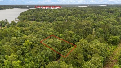 Tucked beneath a canopy of mature trees, this beautiful .33-acre - photo 8