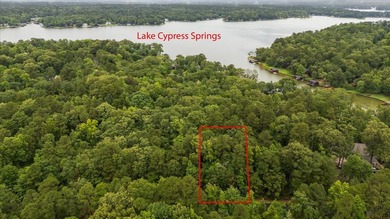 Tucked beneath a canopy of mature trees, this beautiful .33-acre - photo 9