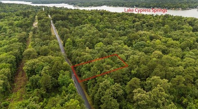 Tucked beneath a canopy of mature trees, this beautiful .33-acre - photo 10