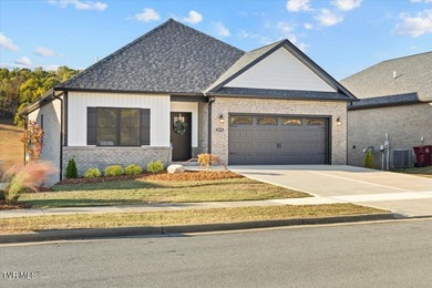 Boone Lake Home For Sale in Piney Flats Tennessee