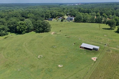 33.25 ACRES ON LAKE BLALOCK- A RARE OPPORTUNITY! Discover the - photo 12