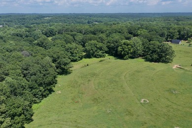 33.25 ACRES ON LAKE BLALOCK- A RARE OPPORTUNITY! Discover the - photo 13