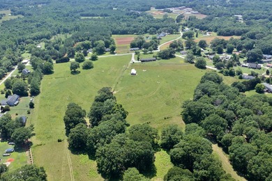 33.25 ACRES ON LAKE BLALOCK- A RARE OPPORTUNITY! Discover the - photo 17