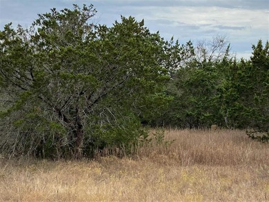 Lake Whitney Lot For Sale in Whitney Texas