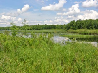 Squaw Lake - Oneida County Acreage For Sale in Minocqua Wisconsin