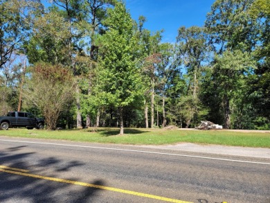 Lake Area Commercial or Residential Loot - Lake Lot For Sale in Hemphill, Texas