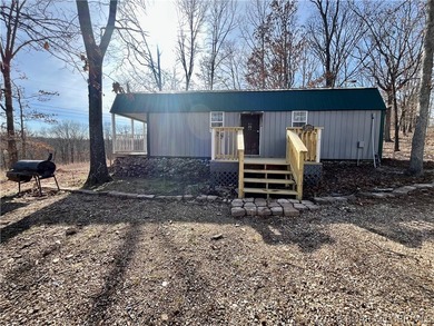 This cozy tiny home offers a simple, low-maintenance lifestyle - photo 2