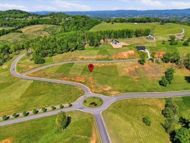 0.73-acre Cleared Building Lot in Windswept Subdivision - photo 9