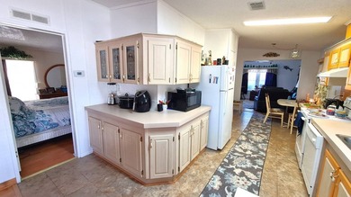 **One of the BIGGEST LOT on property. Priced to sell!!** HUGE - photo 11
