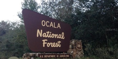 Manufactured Home in the Heart of the Ocala National Forest - photo 27