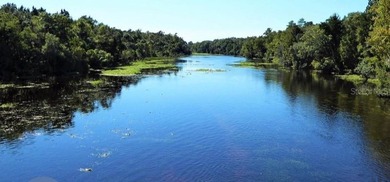 Manufactured Home in the Heart of the Ocala National Forest - photo 29