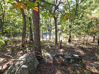 (private lake, pond, creek) Acreage For Sale in Talihina Oklahoma