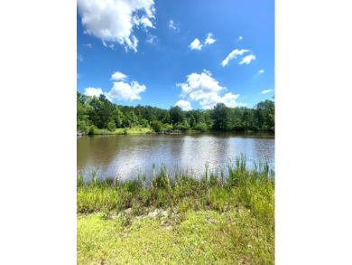 Lake Lot For Sale in Dale Co, Alabama