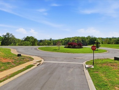 0.73-acre Cleared Building Lot in Windswept Subdivision - photo 11