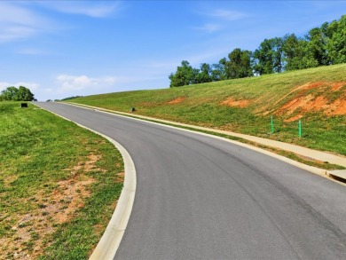 0.73-acre Cleared Building Lot in Windswept Subdivision - photo 12