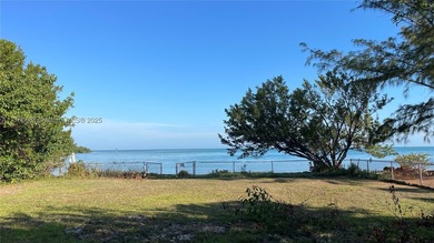 RARE 100' of waterfront re-development opportunity w/ DEEP WATER - photo 1