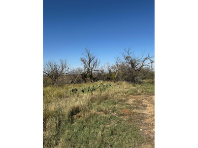 Champion Creek Reservoir Acreage For Sale in Loraine Texas