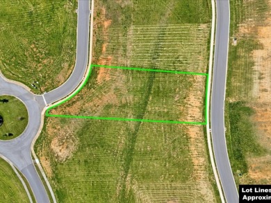 0.73-acre Cleared Building Lot in Windswept Subdivision - photo 5