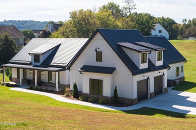 Patrick Henry Lake Home For Sale in Kingsport Tennessee