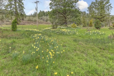 Situated on over 30 beautiful acres just a short distance from - photo 14