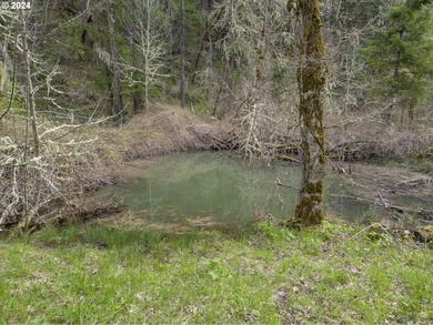 Situated on over 30 beautiful acres just a short distance from - photo 16