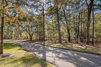 Introducing Harmony Township-where coastal living and nature - photo 26
