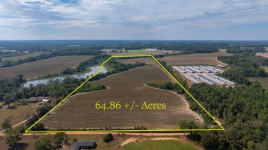 (private lake, pond, creek) Acreage For Sale in Norman Park Georgia