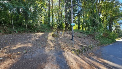 Willamette River - Clackamas County Lot For Sale in Oregoncity Oregon
