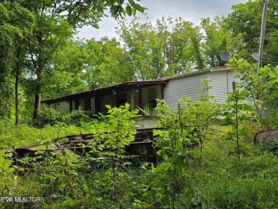Lake Home For Sale in Thorn Hill, Tennessee