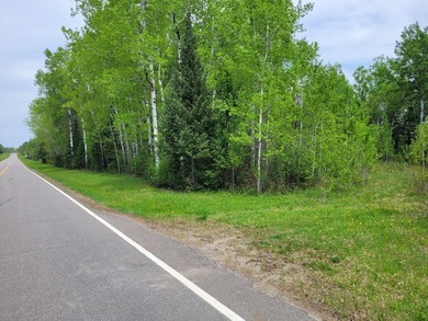 Looking for hunting land? Land to play on? Land to build on? - photo 1