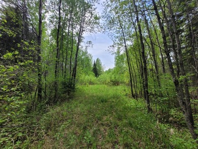 Looking for hunting land? Land to play on? Land to build on? - photo 3