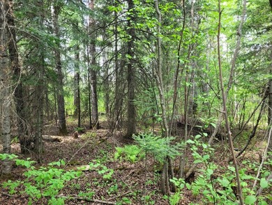 Looking for hunting land? Land to play on? Land to build on? - photo 4