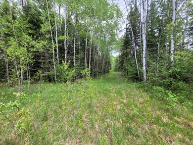 Looking for hunting land? Land to play on? Land to build on? - photo 6