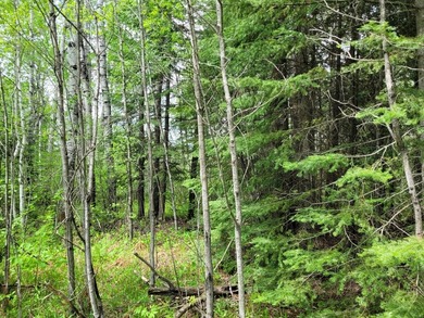 Looking for hunting land? Land to play on? Land to build on? - photo 7