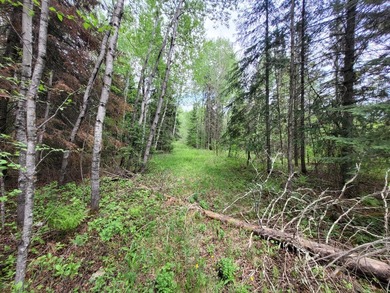Looking for hunting land? Land to play on? Land to build on? - photo 8